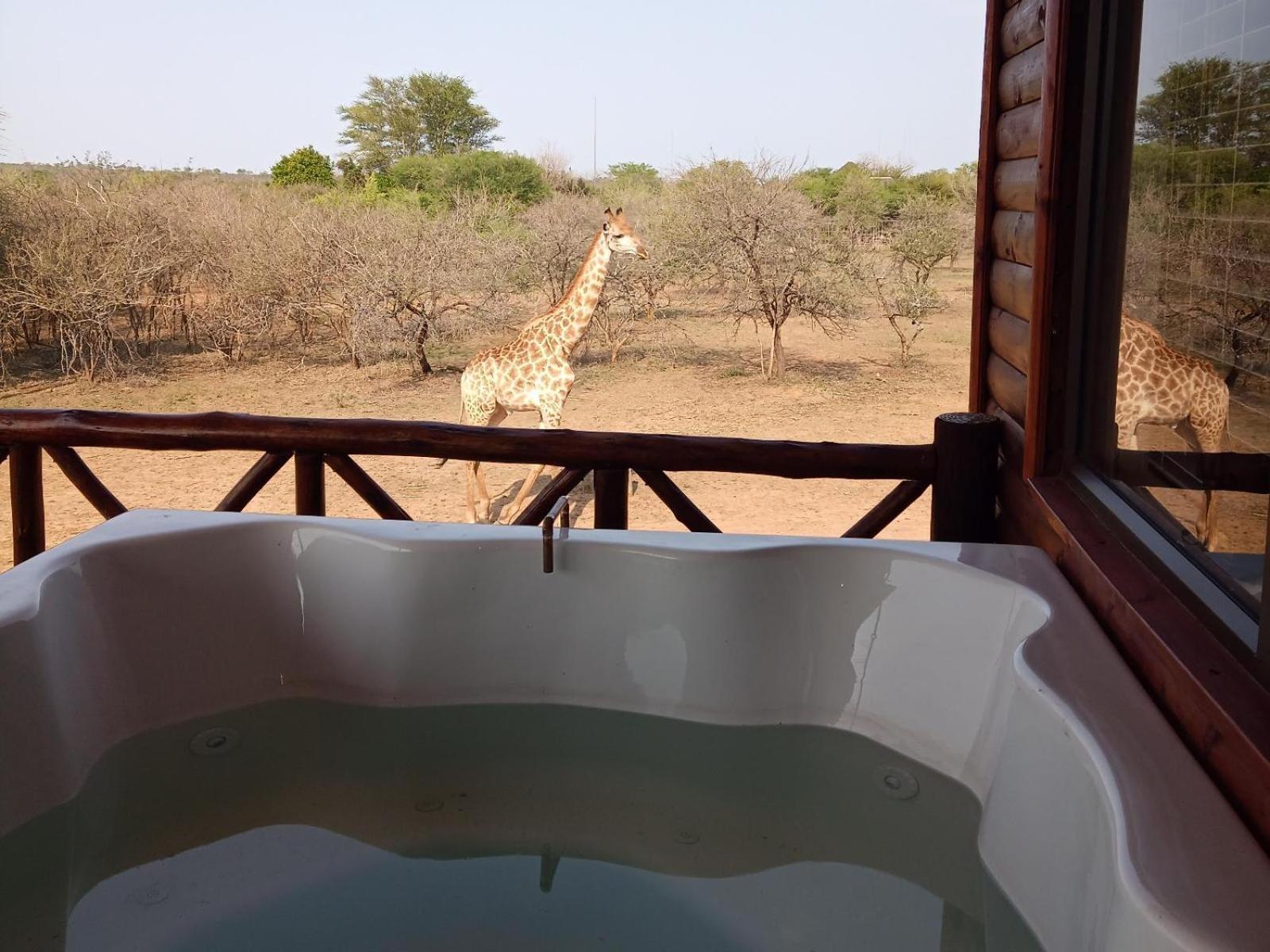 Apartament Marloth Kruger View Marloth Park Zewnętrze zdjęcie