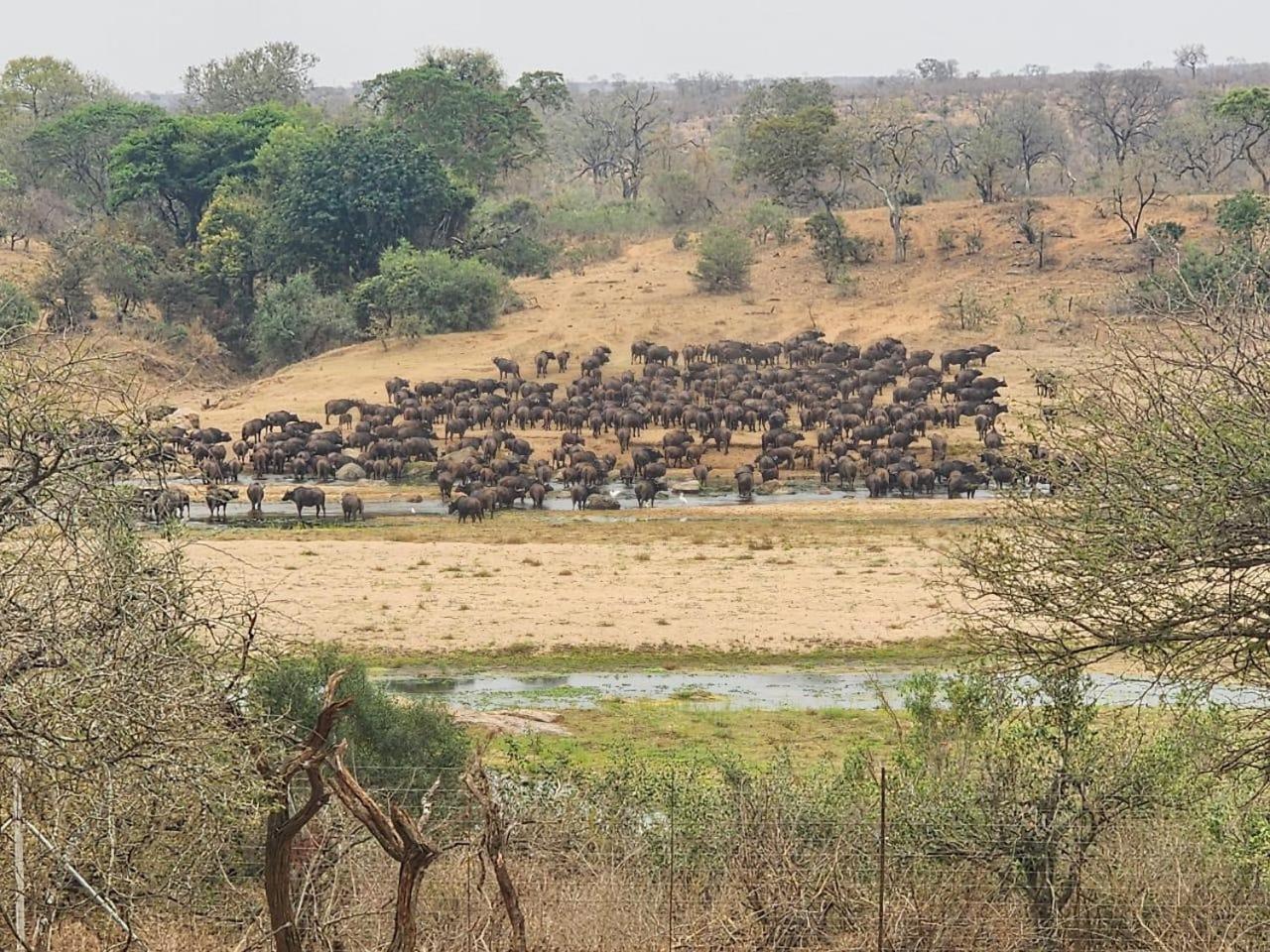 Apartament Marloth Kruger View Marloth Park Zewnętrze zdjęcie